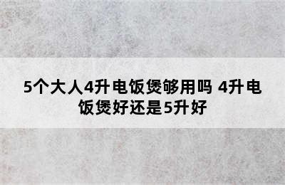 5个大人4升电饭煲够用吗 4升电饭煲好还是5升好